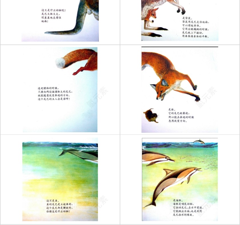 奇妙的尾巴幼儿绘本教育课件第4张