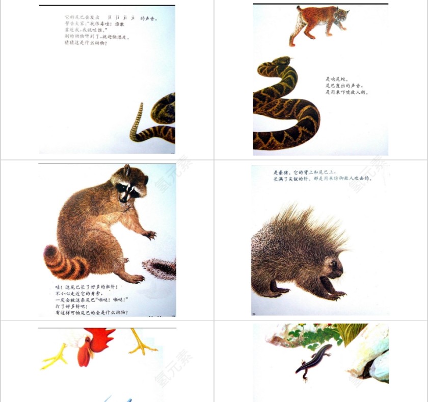 奇妙的尾巴幼儿绘本教育课件第5张