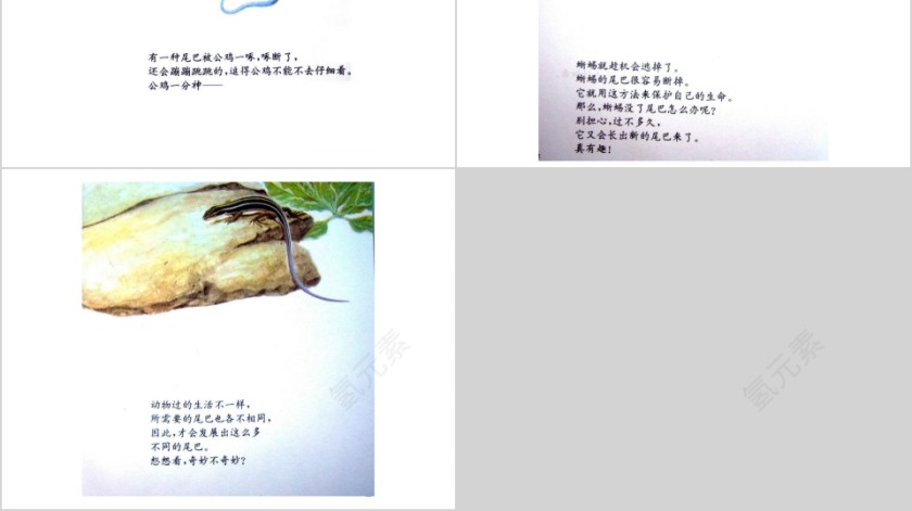 奇妙的尾巴幼儿绘本教育课件第6张