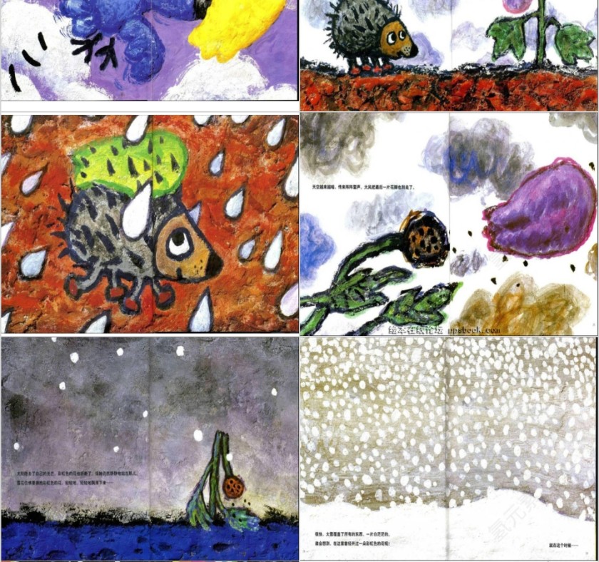 幼儿园绘本故事彩虹色的花PPT模板第4张