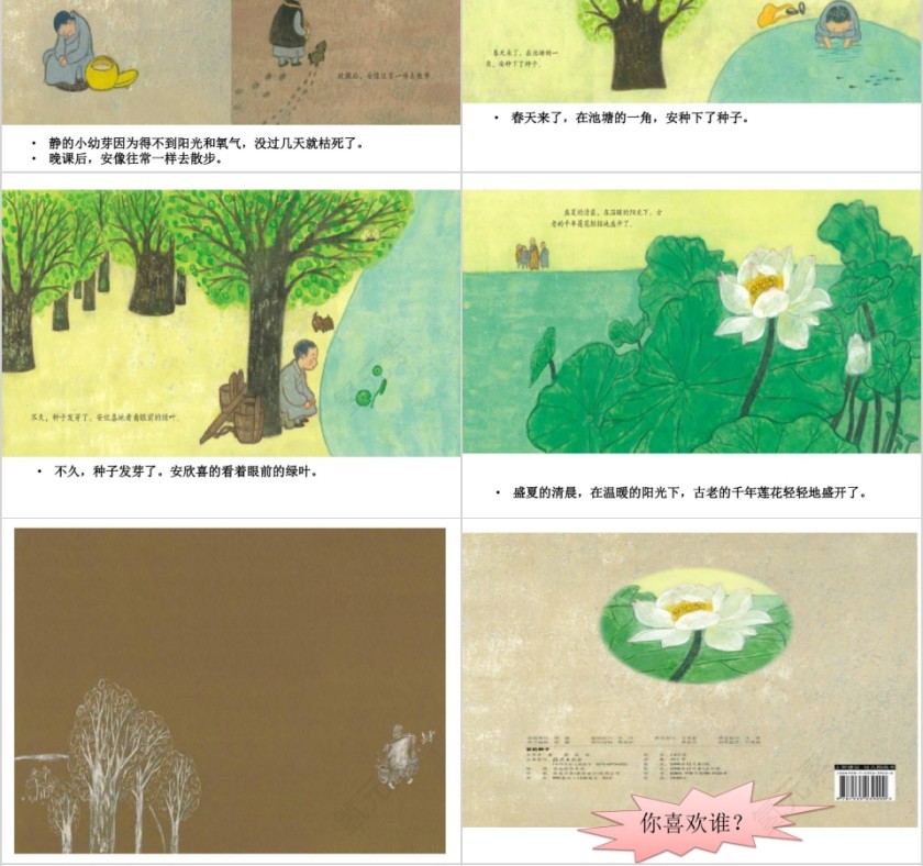 安的种子幼儿绘本教育课件第4张