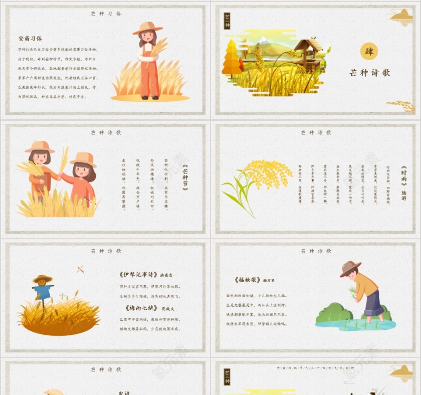 中国传统节气二十四节气之芒种PPT模板第4张