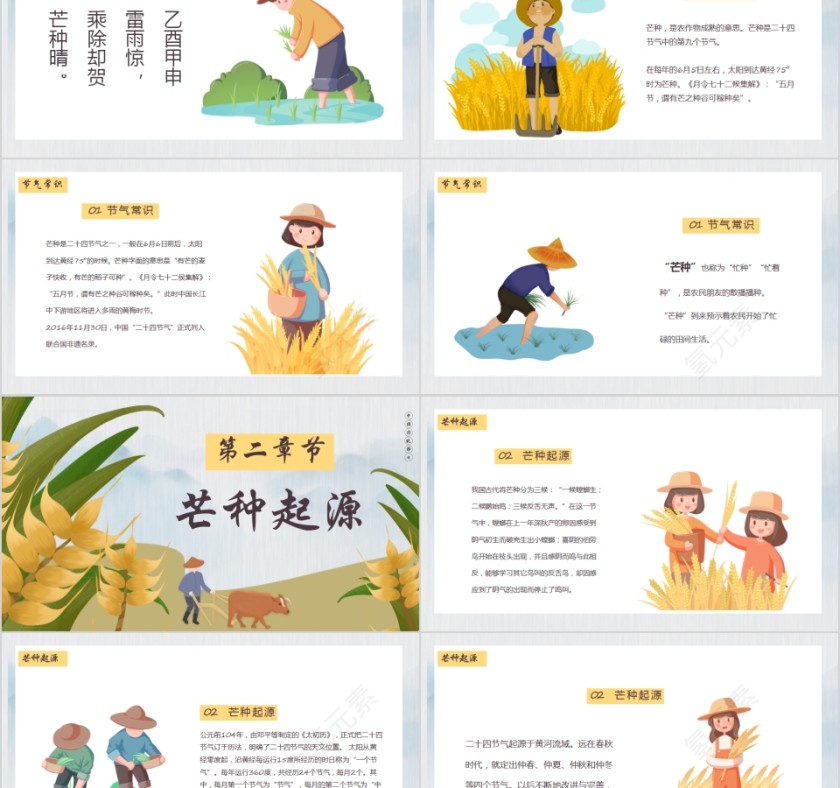 中国传统节日二十四节气芒种节气PPT模板第2张