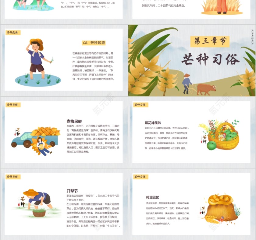 中国传统节日二十四节气芒种节气PPT模板第3张