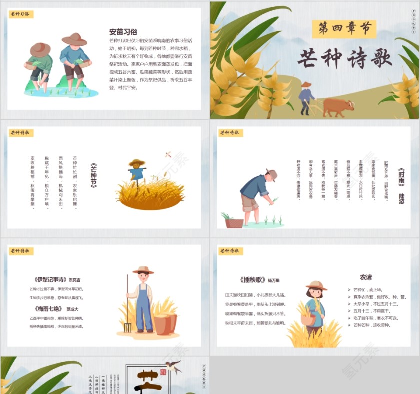 中国传统节日二十四节气芒种节气PPT模板第4张