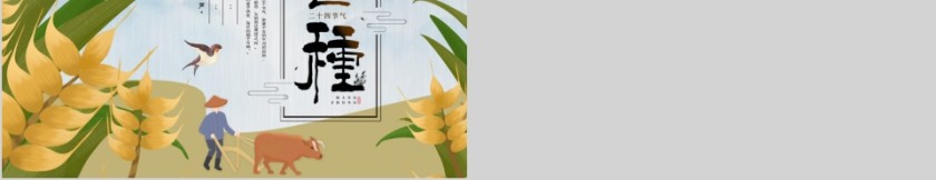 中国传统节日二十四节气芒种节气PPT模板第5张