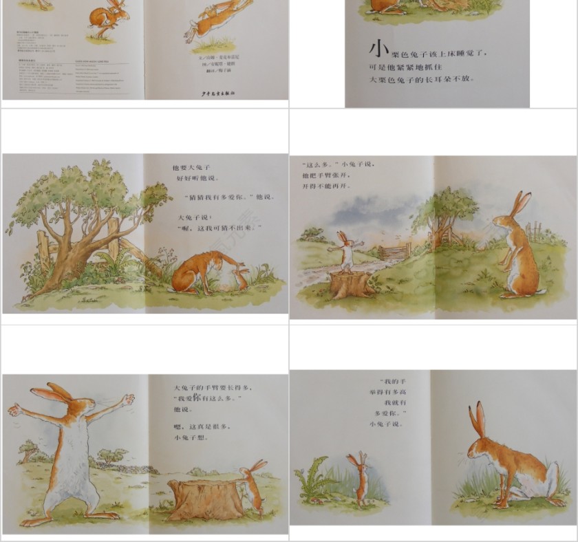 猜猜我有多爱你幼儿绘本教育课件PPT模板第2张