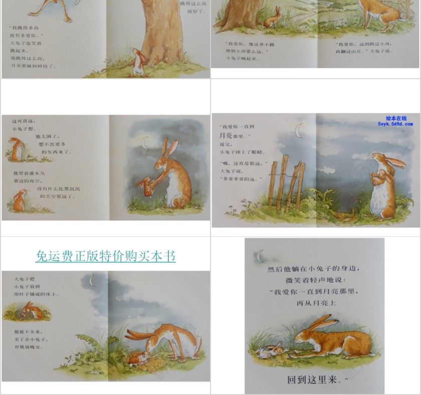 猜猜我有多爱你幼儿绘本教育课件PPT模板第4张