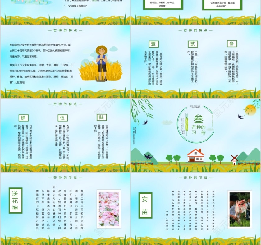 绿色清新中国传统二十四节气芒种主题PPT模板第3张