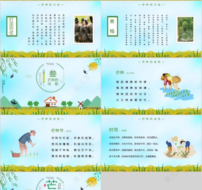 绿色清新中国传统二十四节气芒种主题PPT模板第4张