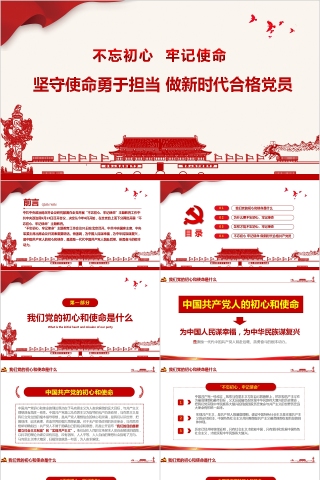 坚守使命勇于担当做新时代合格党员