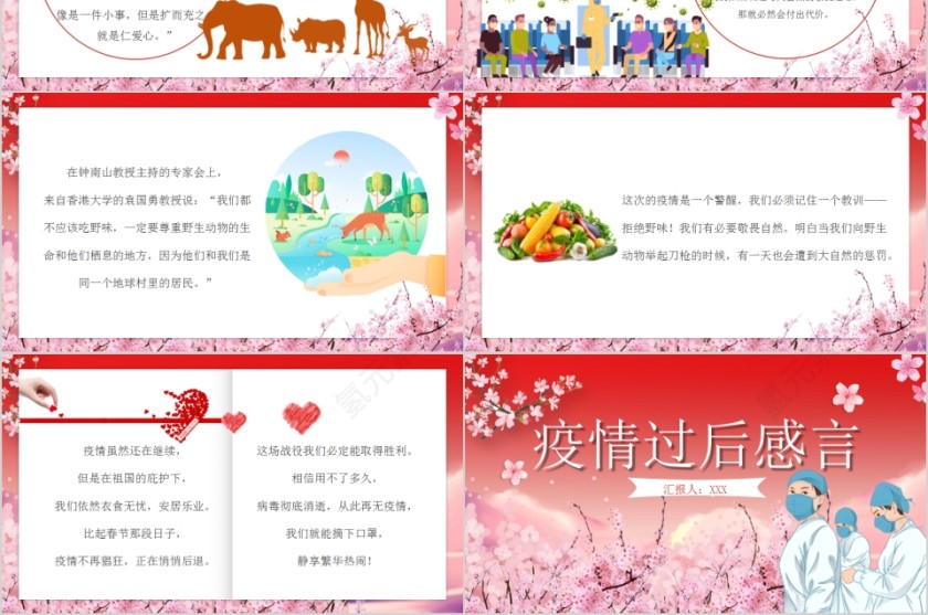 简约清新花卉疫情过后感言PPT模板第6张