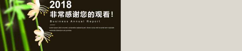 简约工作计划月度汇报PPT模板第5张