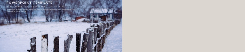 欧美风工作汇报PPT模板第5张