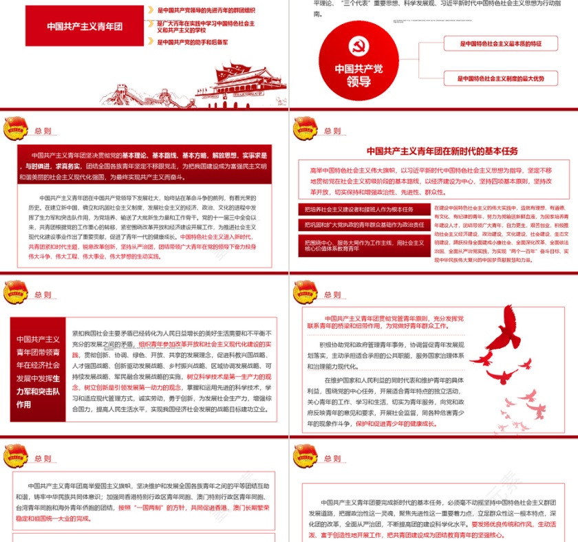新时代的共青团员共青团章程学习PP...第2张