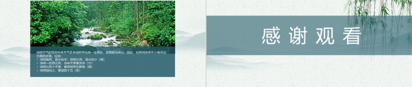 清明节二十四节气PPT模版第5张