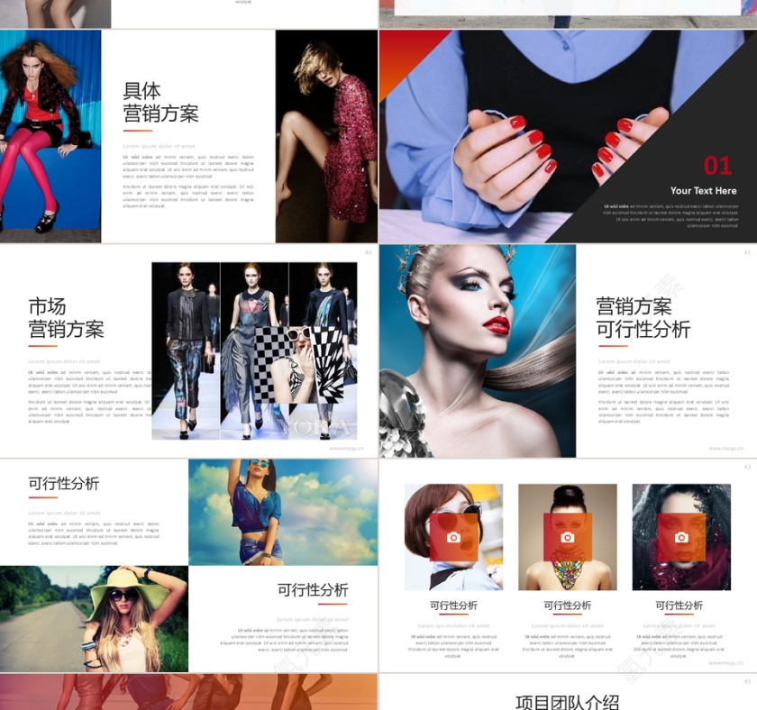 高端奢侈品时尚品牌营销策划PPT模板第7张