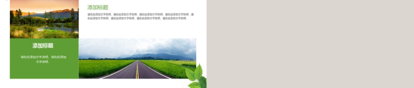 绿色叶子清新简约风企业介绍PPT模板第5张