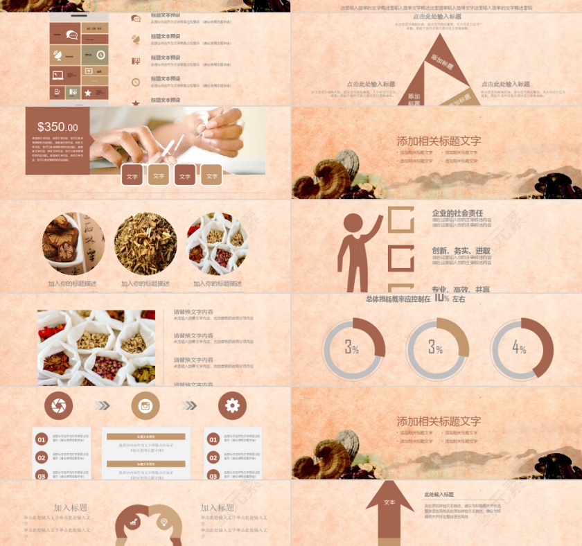 浅棕色中国复古风中医中药养生PPT模板第2张