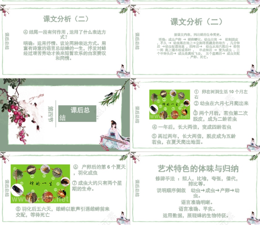 绿色简约小学四年级语文课件蝉第4张