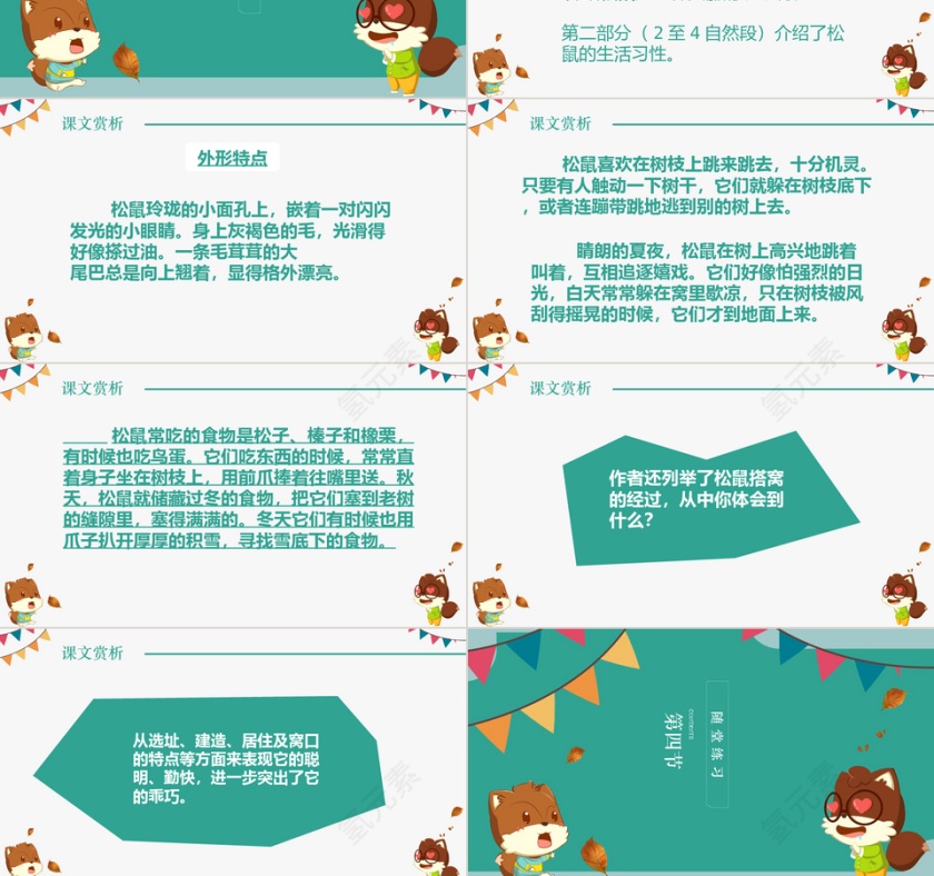 小学五年级松鼠语文课件PPT模板第3张