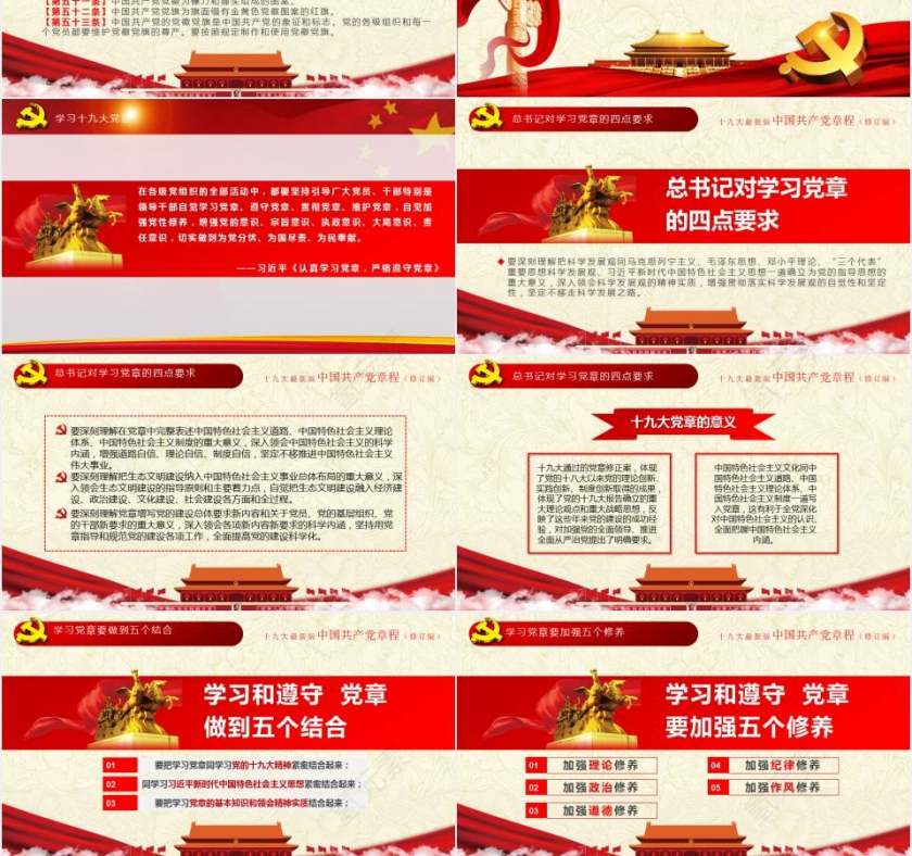 党章全方位解读学习中国共产党章程PPT第12张