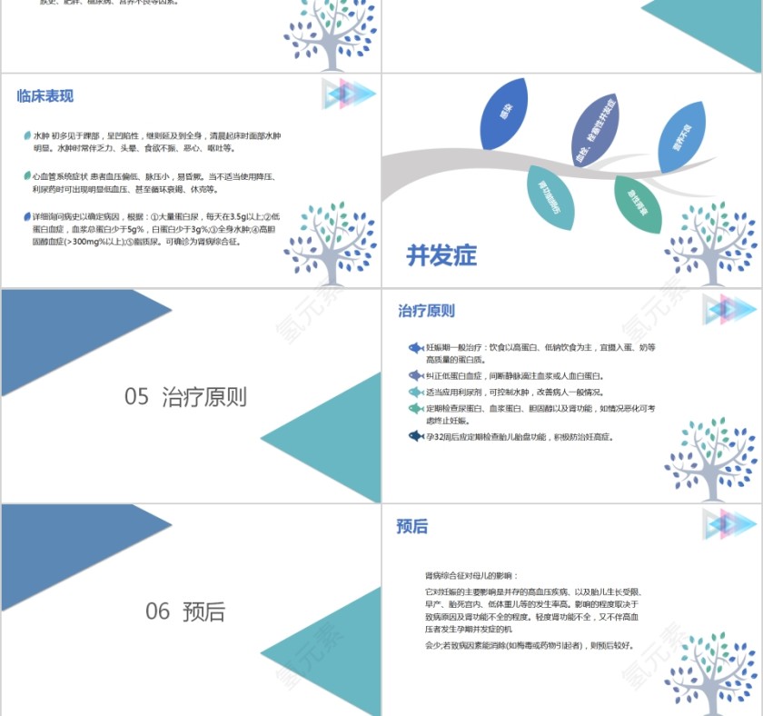 妊娠高血压合并肾病综合征PPT模板第3张