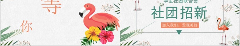 学生社团联合会社团招新PPT第5张