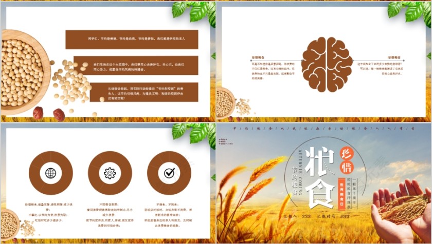 世界粮食日珍惜粮食PPT模板第4张