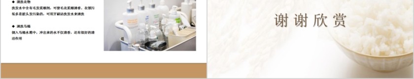 世界勤俭日勤俭节约PPT模板第5张