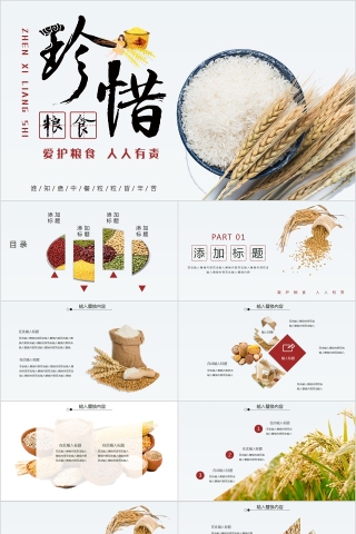 珍惜粮食爱护粮食人人有责PPT模板