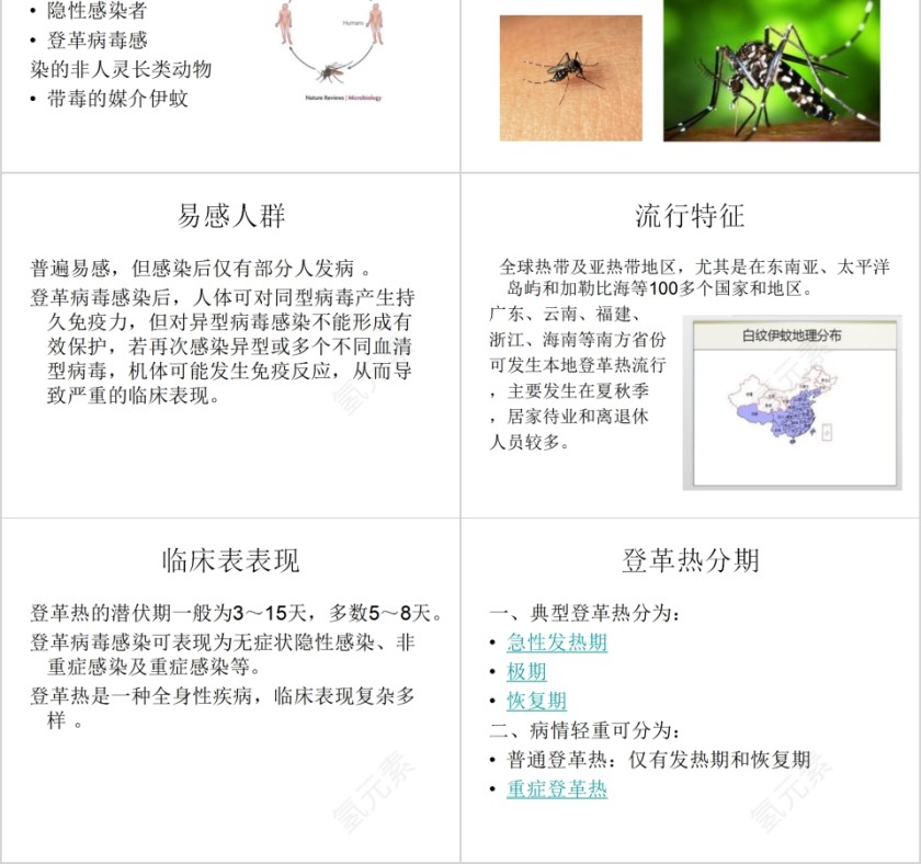 认识及预防登革热PPT模板第2张