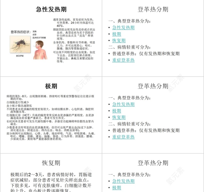 认识及预防登革热PPT模板第3张