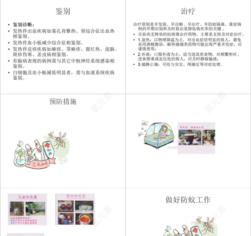 认识及预防登革热PPT模板第5张