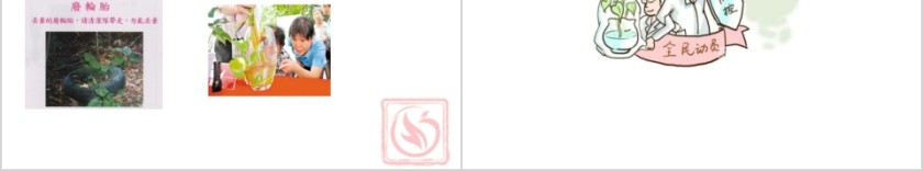 认识及预防登革热PPT模板第6张