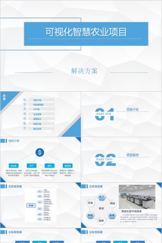 可视化智慧农业项目解决方案PPT模板