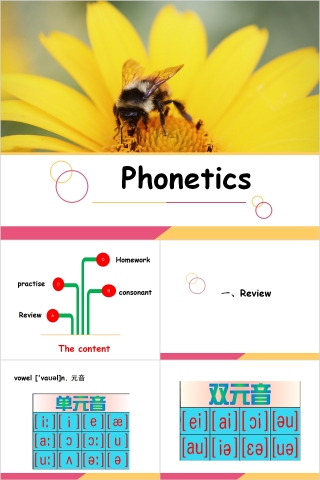 英语音标教育教学课件PPT模板