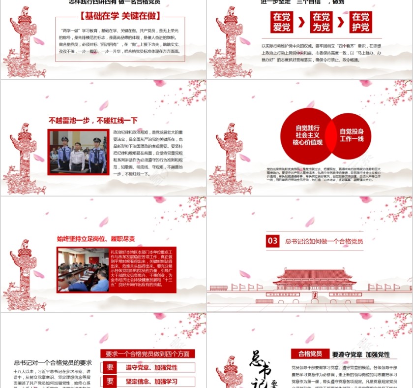 践行四讲四有做合格党员PPT第5张