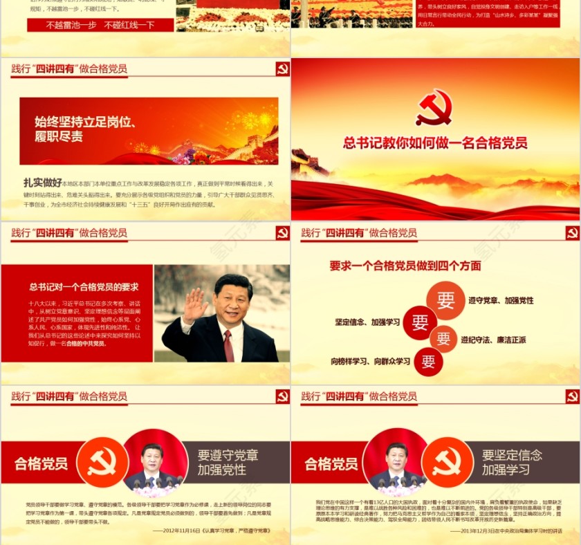 践行四讲四有做合格党员PPT第6张