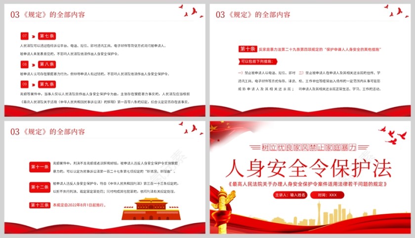 红色党政风人身安全令保护法学习解读PPT模板第5张