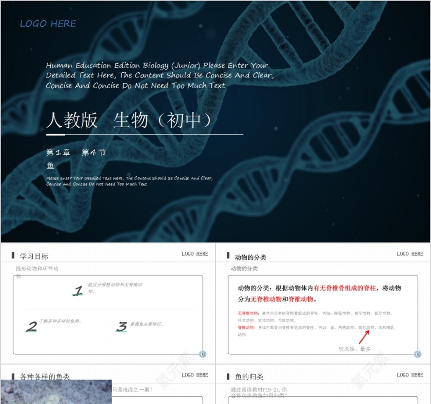 《鱼》人教版八年级生物上册PPT课件第1张