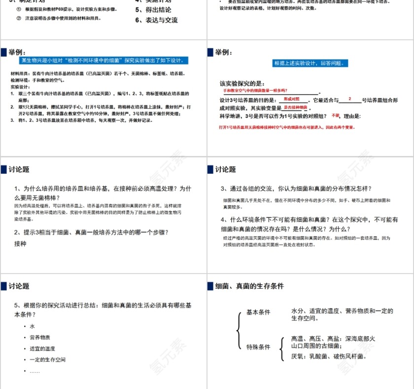 《细菌和真菌的分布》人教版八年级生物上册PPT课件第3张