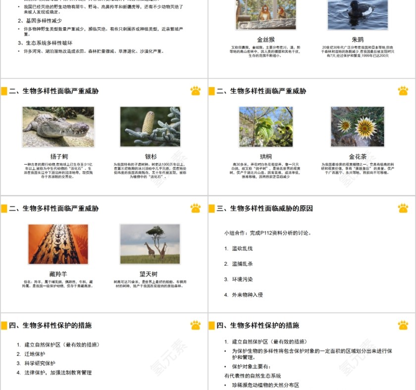 《认识生物的多样性》人教版八年级生物上册PPT课件第2张