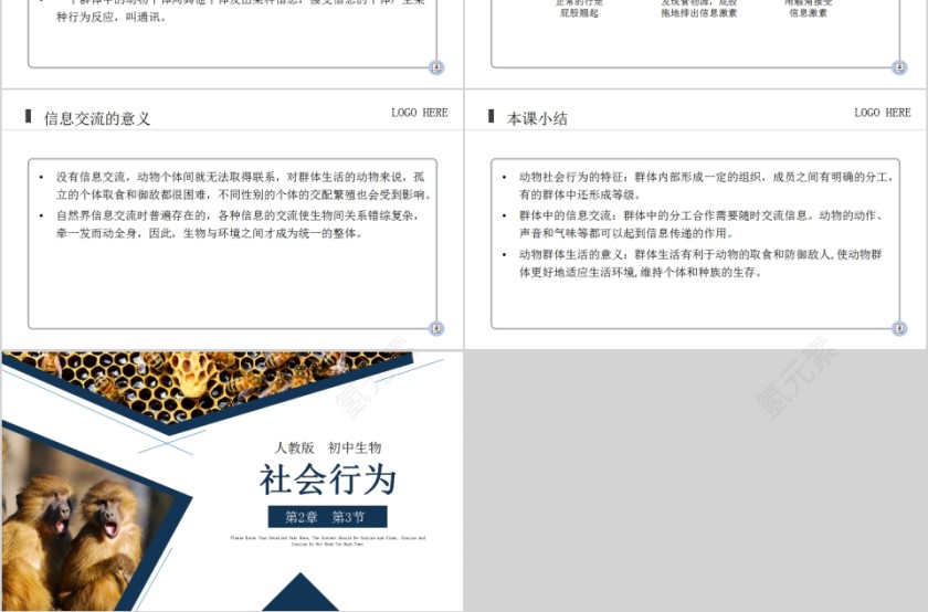 《社会行为》人教版初中生物上册PPT课件第3张