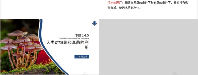 《细菌和真菌在自然界中的作用》人教版八年级生物上册PPT课件第3张
