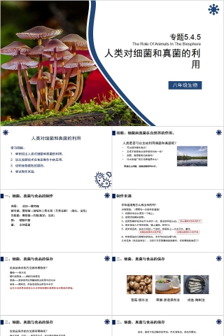 《细菌和真菌在自然界中的作用》人教版八年级生物上册PPT课件
