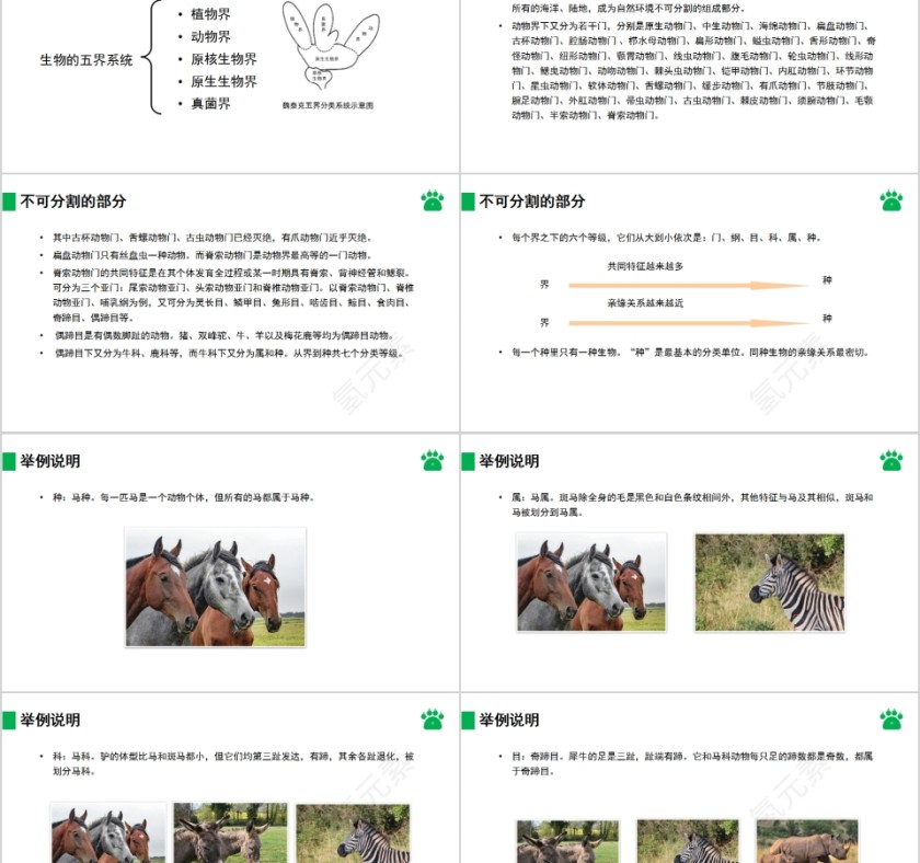 《从种到界》人教版八年级生物上册PPT课件第2张