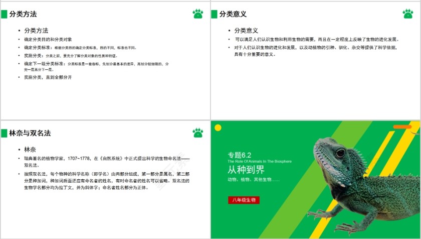 《从种到界》人教版八年级生物上册PPT课件第4张