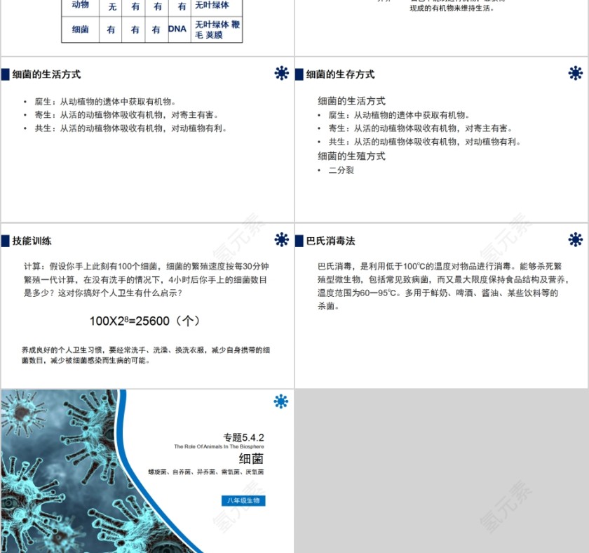 《细菌》人教版八年级生物上册PPT课件第3张