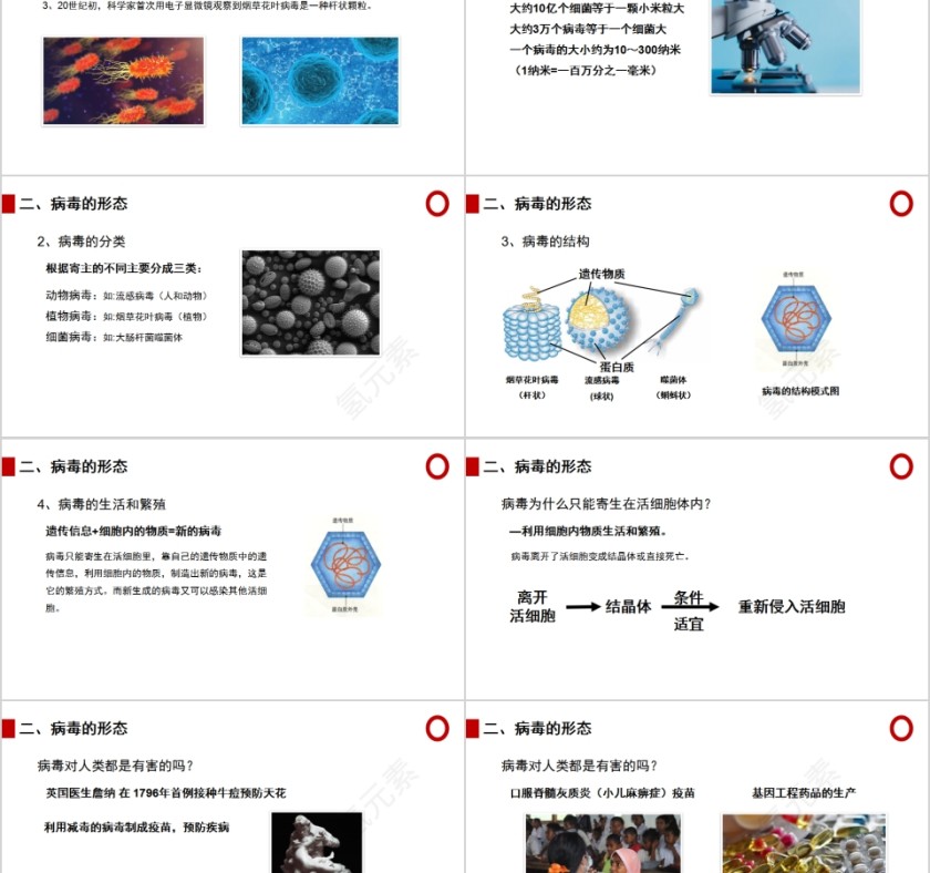 《病毒》人教版八年级生物上册PPT课件第2张